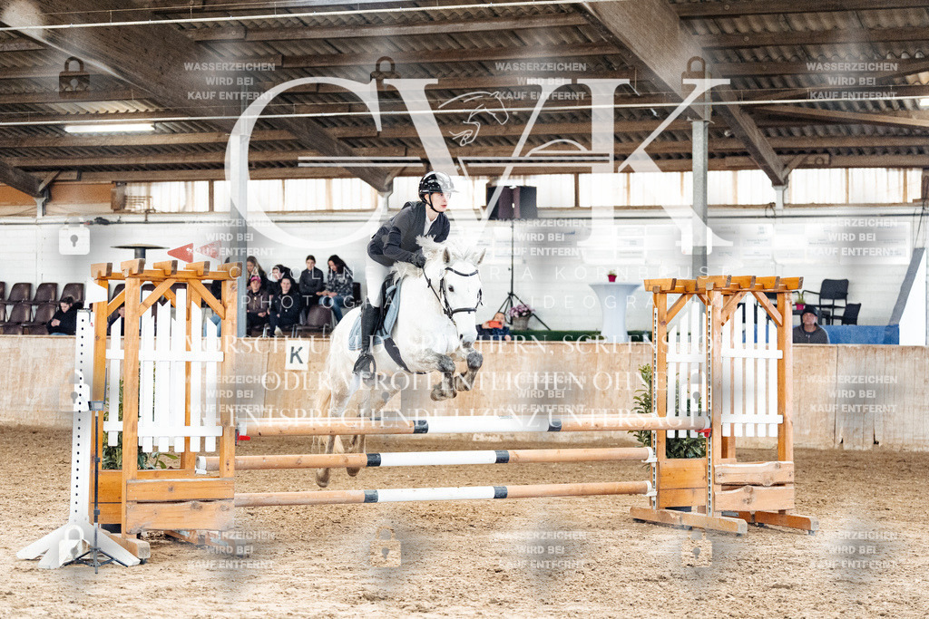 CK904817 | Turnierfotografie Pferdefotografie Trier Rheinland-Pfalz Pferdesport Reitsport Tierfotografie Sportfotografie Pferdevideo Pferdevideografie Equestrianvideography equestrianphotography  - Realisiert mit Pictrs.com