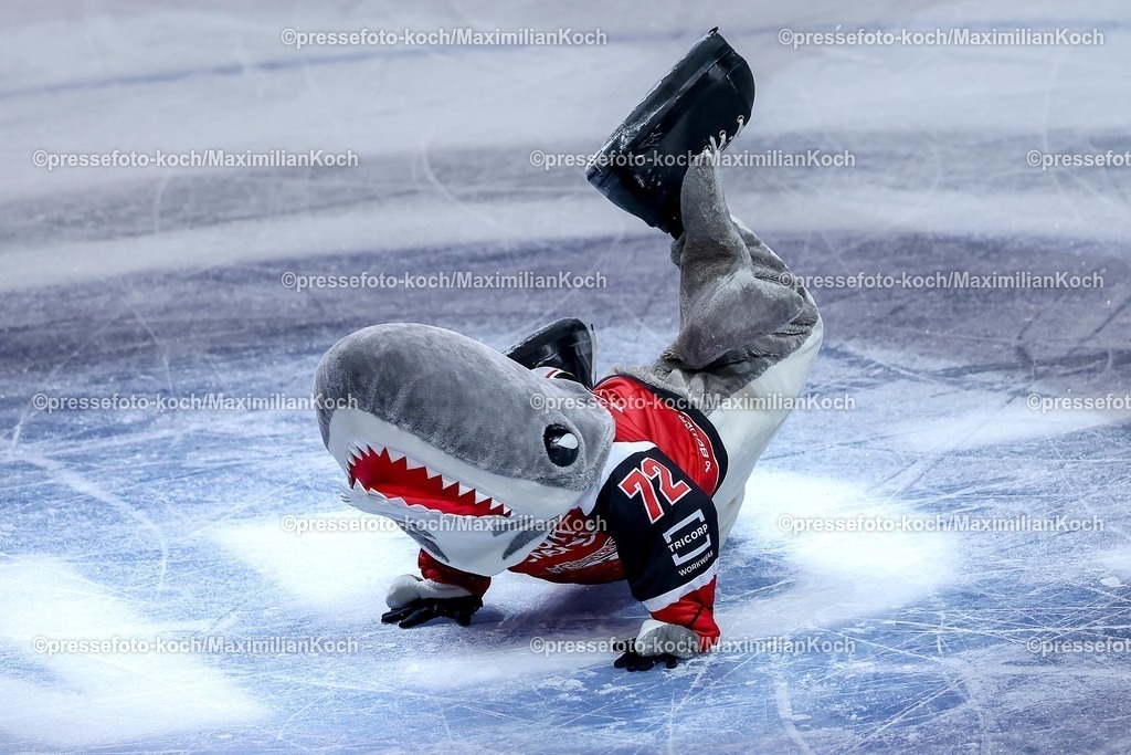 KEC15042601168 | 15.04.2026, Eishockey, DEL Halbfinale Play-Offs, Kölner Haie - Eisbären Berlin, Spiel 4, Lanxess-Arena Köln: Maskottchen Sharky tanzend auf dem Eis 