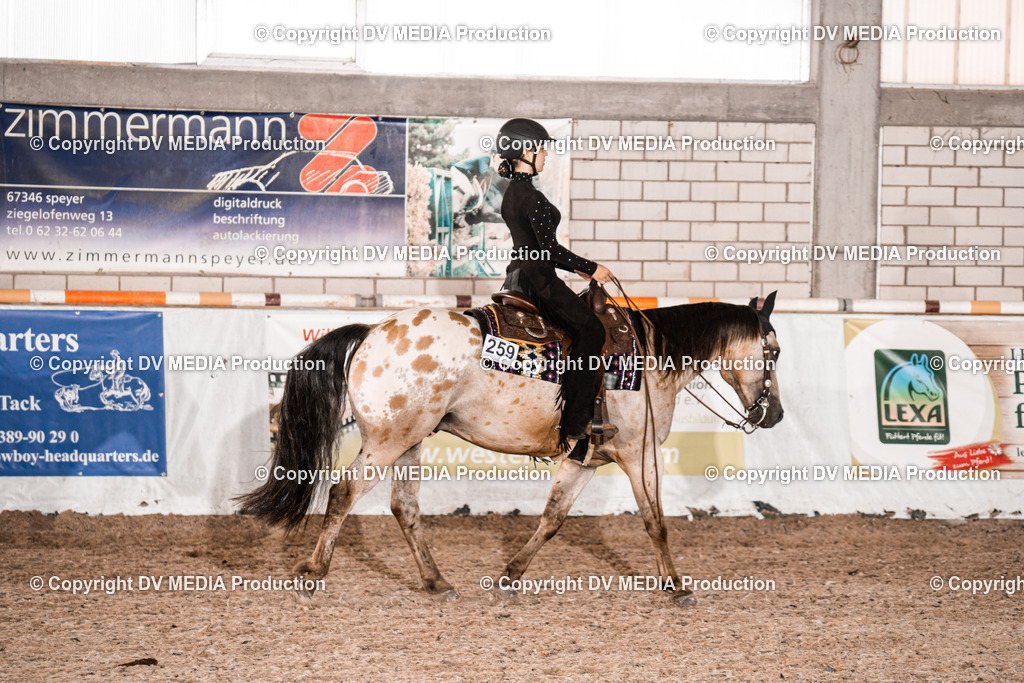 ZH100743 | dv-media-shop - Realisiert mit Pictrs.com