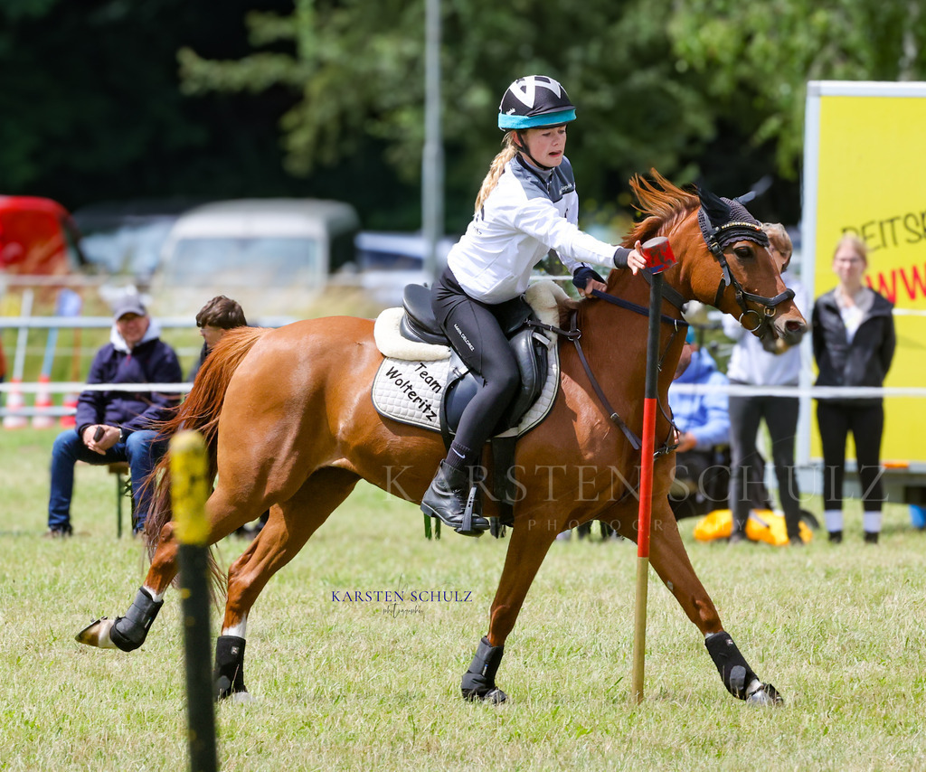 1B3A1236 | Reitsport Reiten