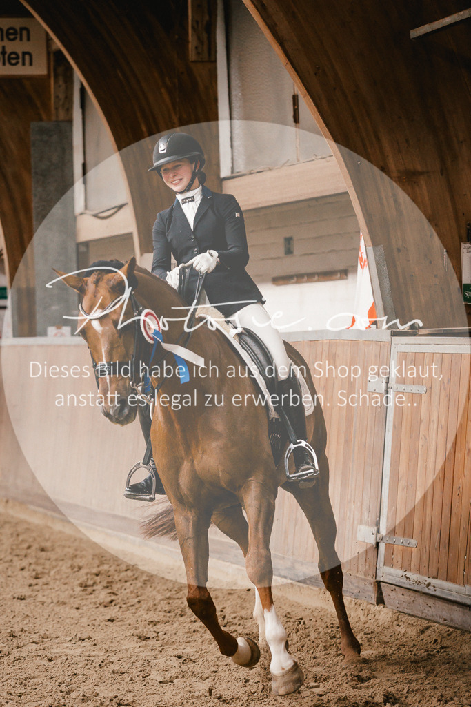 3I6A9147 | Stimmungsvolle Portraits und Reitsportfotografie im Ruhrgebiet und im Münsterland.

Pferdefotografie, Hundefotografie, Tierfotografie, Reportagen, Portraits von Tier und Mensch, Turnierfotografie in Bochum, Recklinghausen, Marl, Haltern am See, Dülmen.. - Realisiert mit Pictrs.com