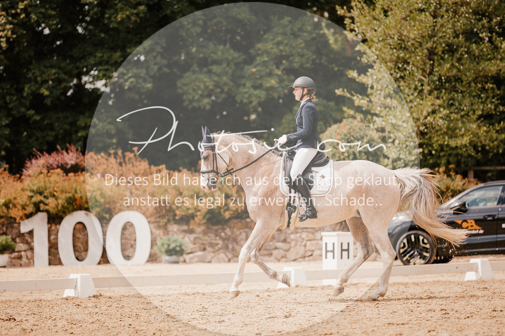 3I6A6170 | Stimmungsvolle Portraits und Reitsportfotografie im Ruhrgebiet und im Münsterland.

Pferdefotografie, Hundefotografie, Tierfotografie, Reportagen, Portraits von Tier und Mensch, Turnierfotografie in Bochum, Recklinghausen, Marl, Haltern am See, Dülmen.. - Realisiert mit Pictrs.com