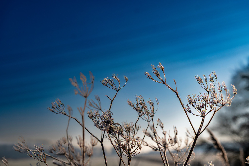 2022_12_17_HETLINGER-SCHANZE_MCP6126 | Hochwertig gedruckte Fotografien für die Wand, als Kalender und zum Verschenken. Hamburg & Norddeutschland und überall wo ich mit der Kamera unterwegs war.