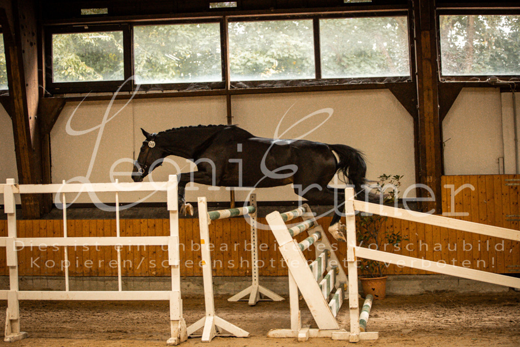 2FS_L00057 | Leoni Ertmer Photography - Realisiert mit Pictrs.com