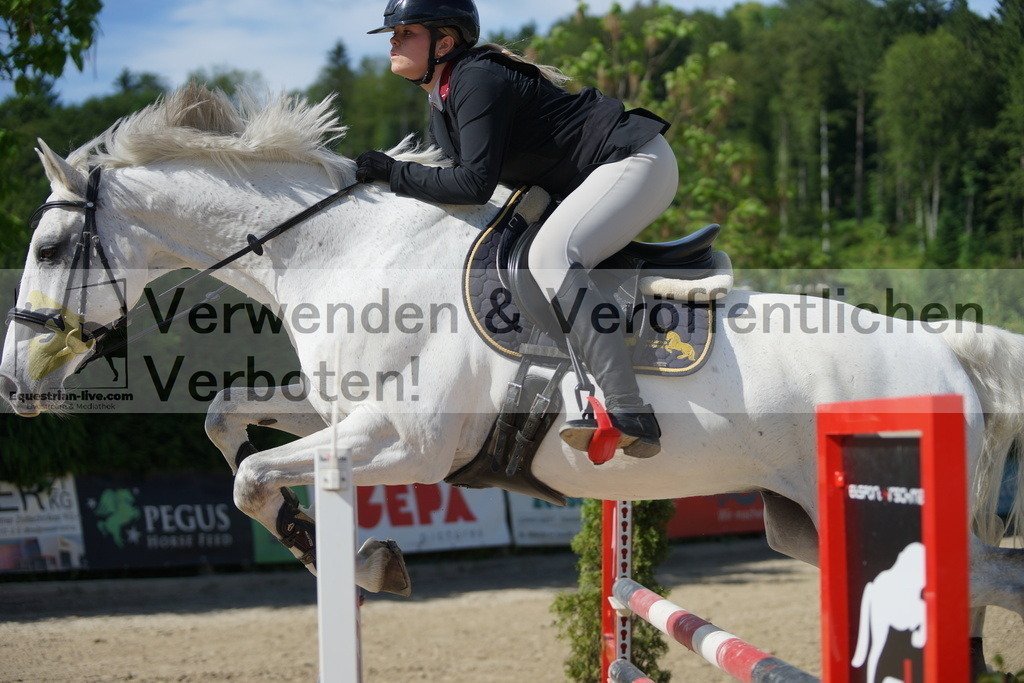 DSC08458 | equestrian-live-com