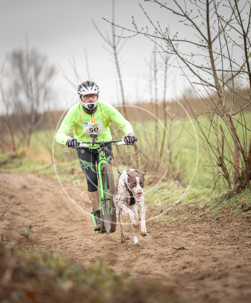 DV3A9226 | Hundefotografie, Tierfotograf, Pfotenfotografie, Fotoshooting Hund, Hunde Portrait, Hundesport, Hundeportraits, Heideshooting, Hunde, Sportfotograf, Hundefotograf, Turnierhundsport, THS,  - Realisiert mit Pictrs.com