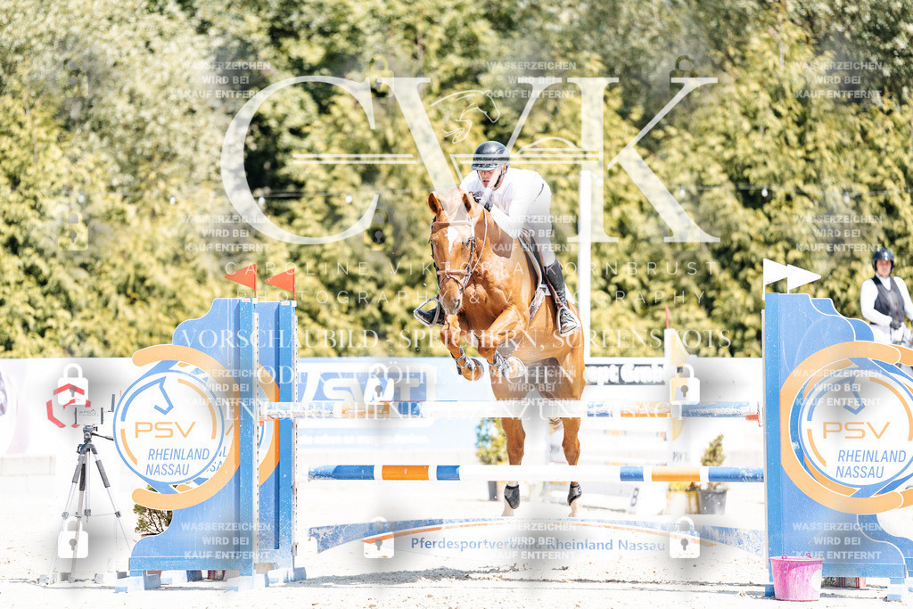 CK900698 | Turnierfotografie Pferdefotografie Trier Rheinland-Pfalz Pferdesport Reitsport Tierfotografie Sportfotografie Pferdevideo Pferdevideografie Equestrianvideography equestrianphotography  - Realisiert mit Pictrs.com