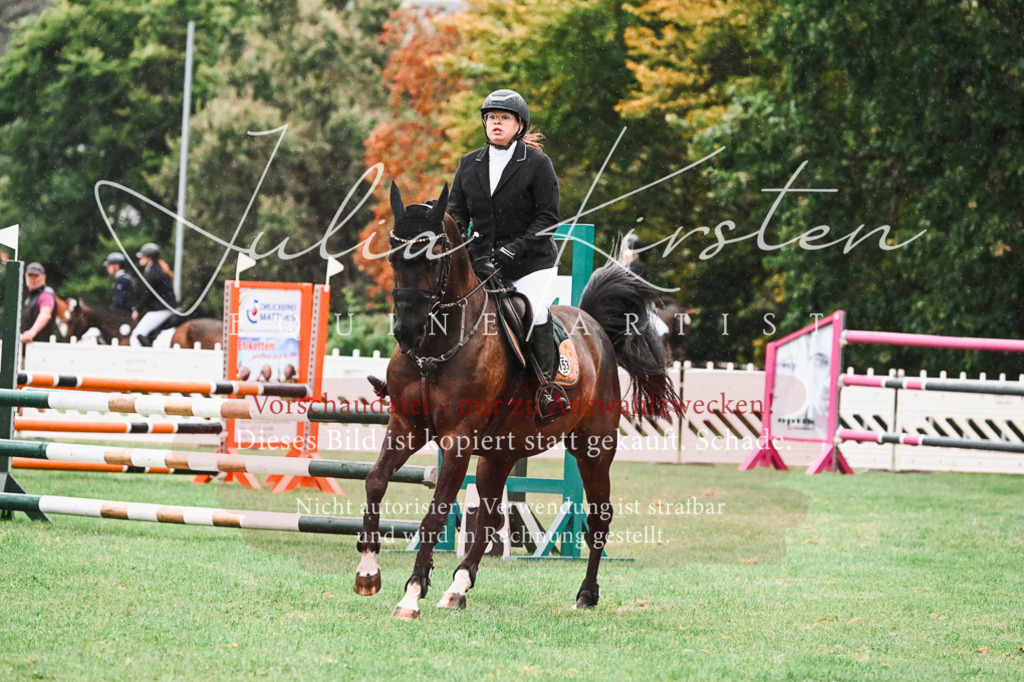 DSC_6444 | Pferde- und Turnierfotografie in Westsachsen. Pferdeportraits, Auftragszeichnungen und intuitive Kunst.