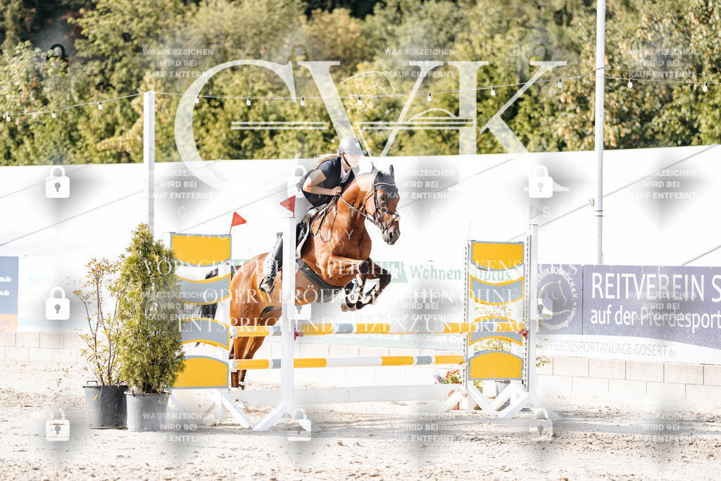 CK906092 | Turnierfotografie Pferdefotografie Trier Rheinland-Pfalz Pferdesport Reitsport Tierfotografie Sportfotografie Pferdevideo Pferdevideografie Equestrianvideography equestrianphotography  - Realisiert mit Pictrs.com