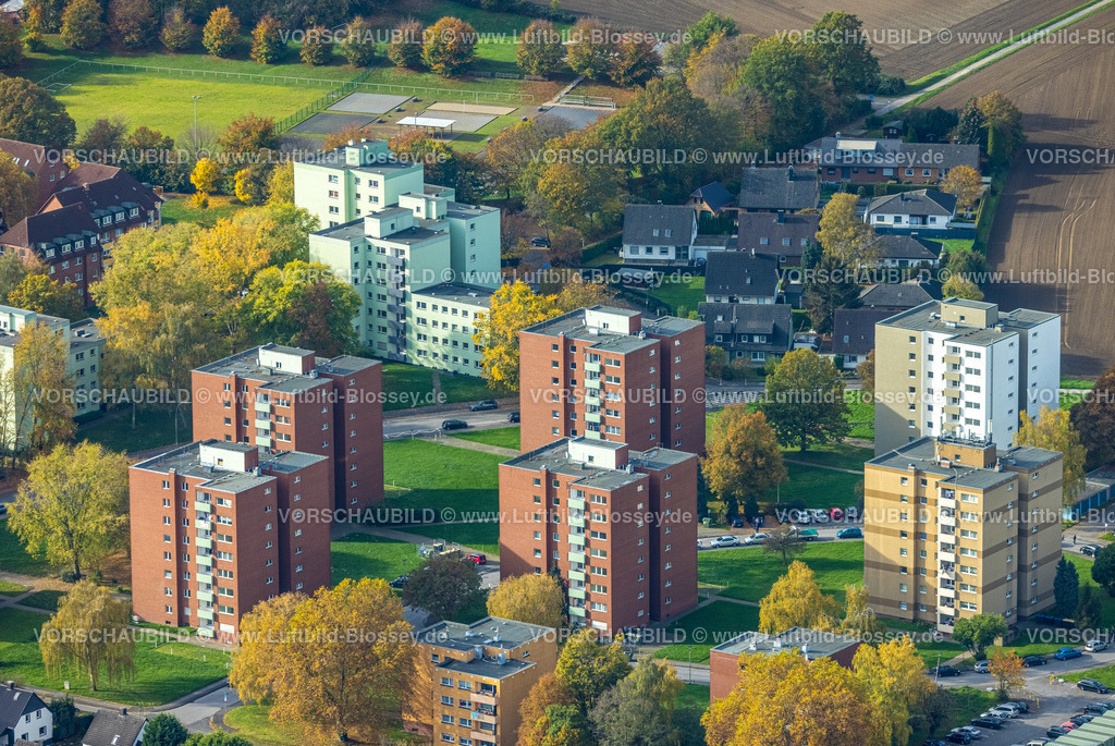 Kamen221012787 | Luftbild, Hochhaussiedlung Blumenstraße, Herbstfarben, Kamen, Ruhrgebiet, Nordrhein-Westfalen, Deutschland