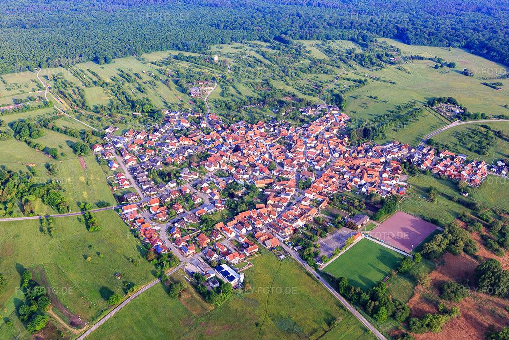 Luftbild: Ortsansicht von Osten im Ortsteil Büchelberg in Wörth im Bundesland Rheinland-Pfalz in Deutschland. Foto: IMG_114053.jpg vom 23.05.2019 durch Werner Riehm/FLY-FOTO.de