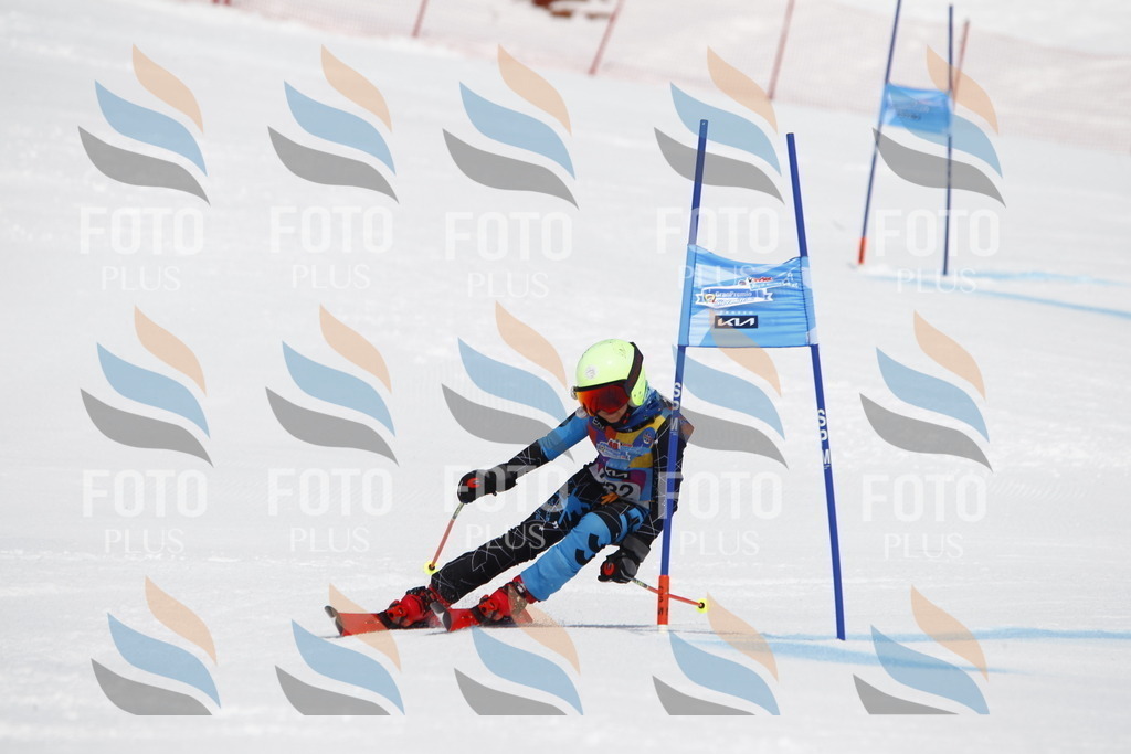 _U3G5964 | holidayphoto