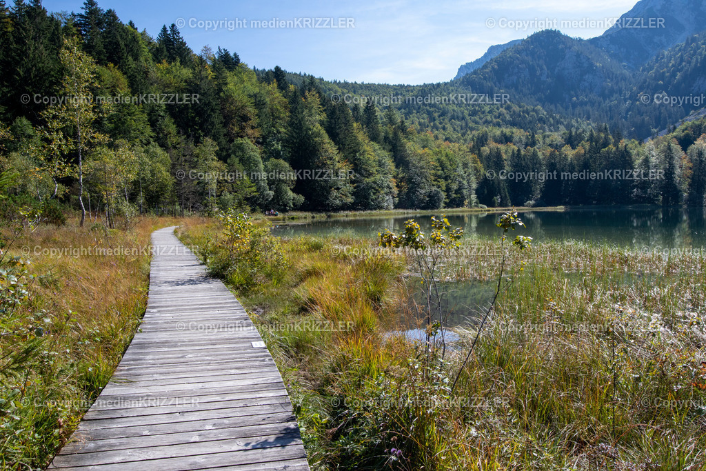 Frillensee | medienkrizzler - Realisiert mit Pictrs.com