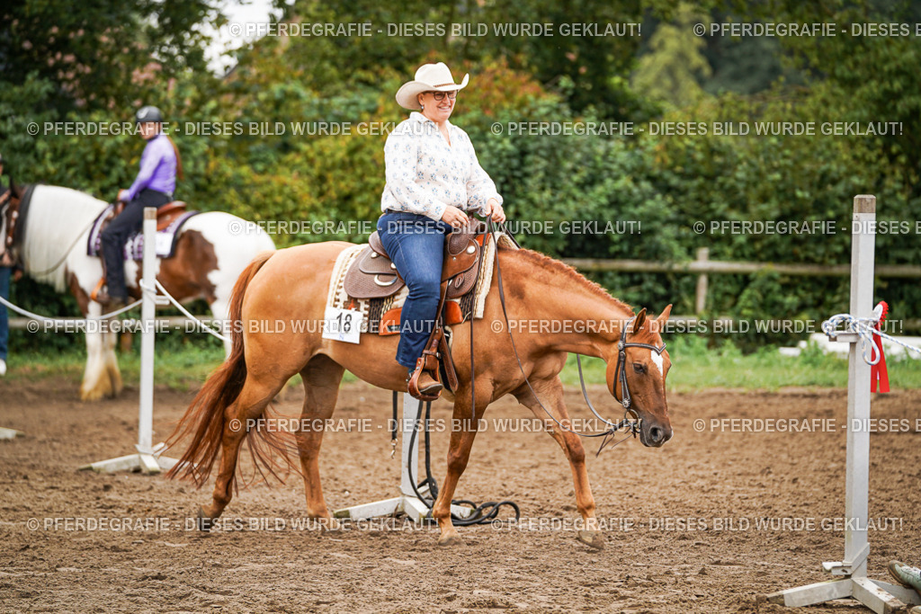 DSC03374 | Pferdegrafie