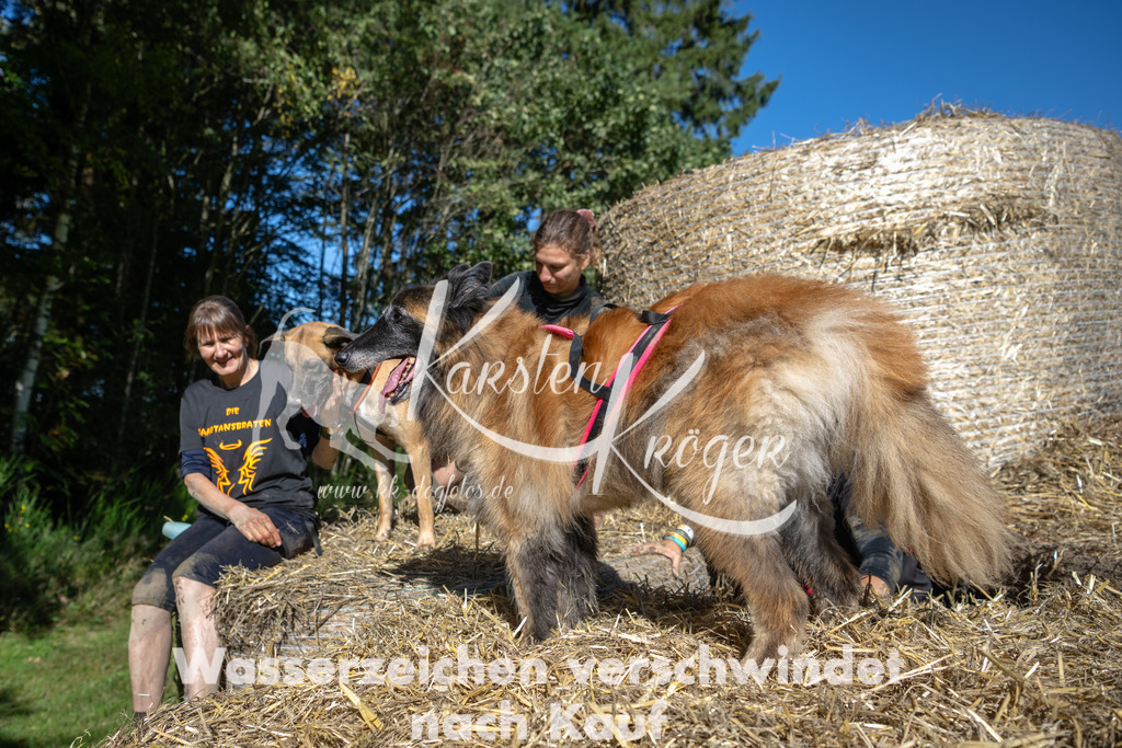 1233_ZZ91550-2 | kk-dogfotos