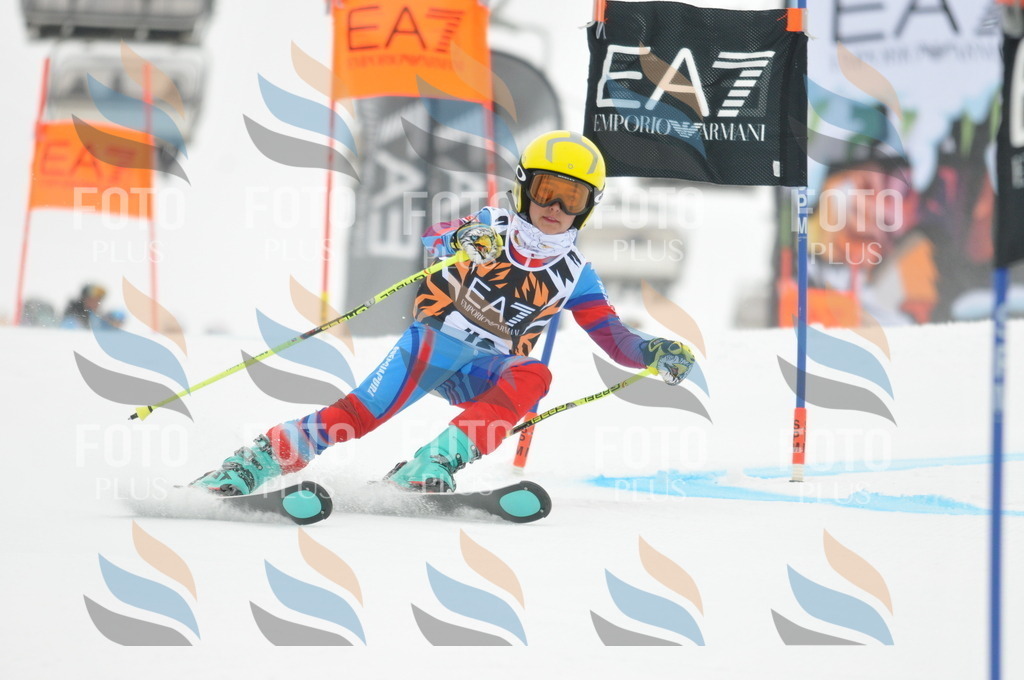 DSC_7647 | holidayphoto