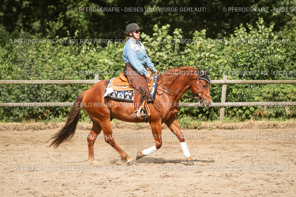 DSC03507 | Pferdegrafie