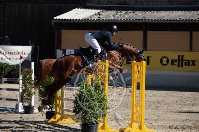 2B4A0465 | pixelfaenger - Realisiert mit Pictrs.com