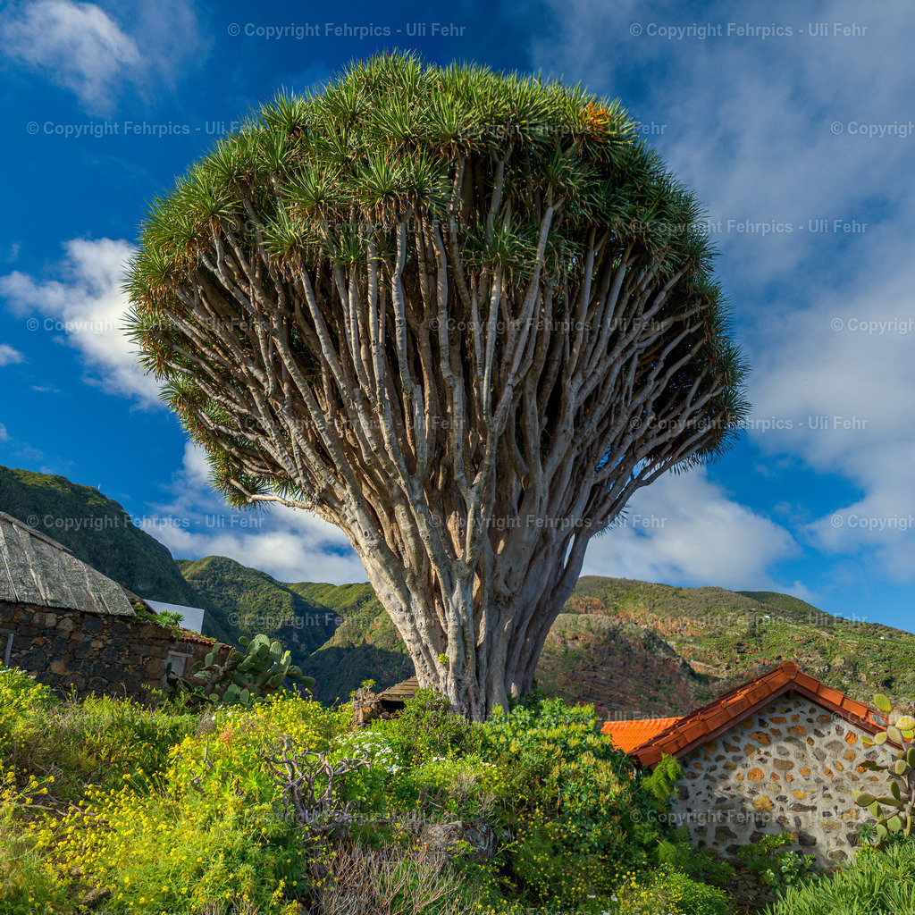 20210207-DSC06873 Panorama | Fehrpics - hochwertige Fotoprodukte rund um Landschaft, Natur, Sterne & Milchstraße. - Realisiert mit Pictrs.com
