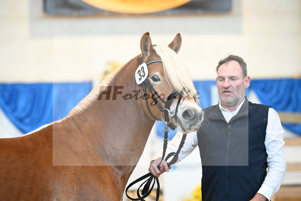 Kat-Nr. 33 Nokiano B v. Novastar_Bleicher_48250668 | hf-fotografie - Realisiert mit Pictrs.com