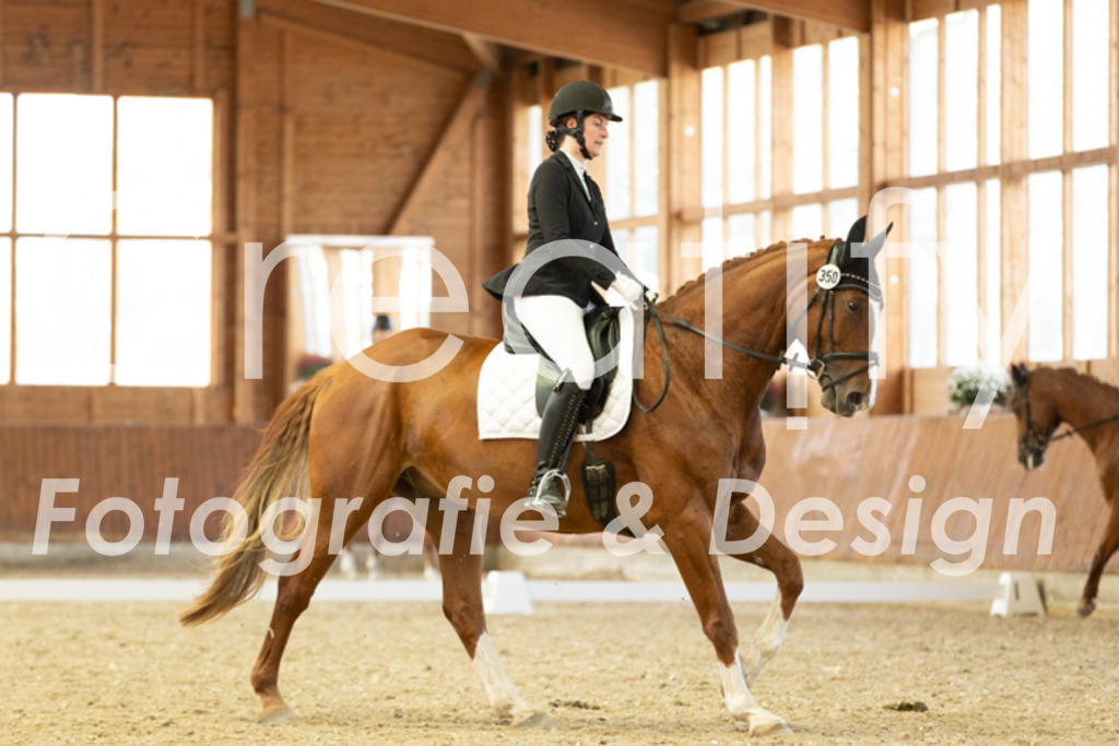 IMG_5834 | Creatify Fotografie