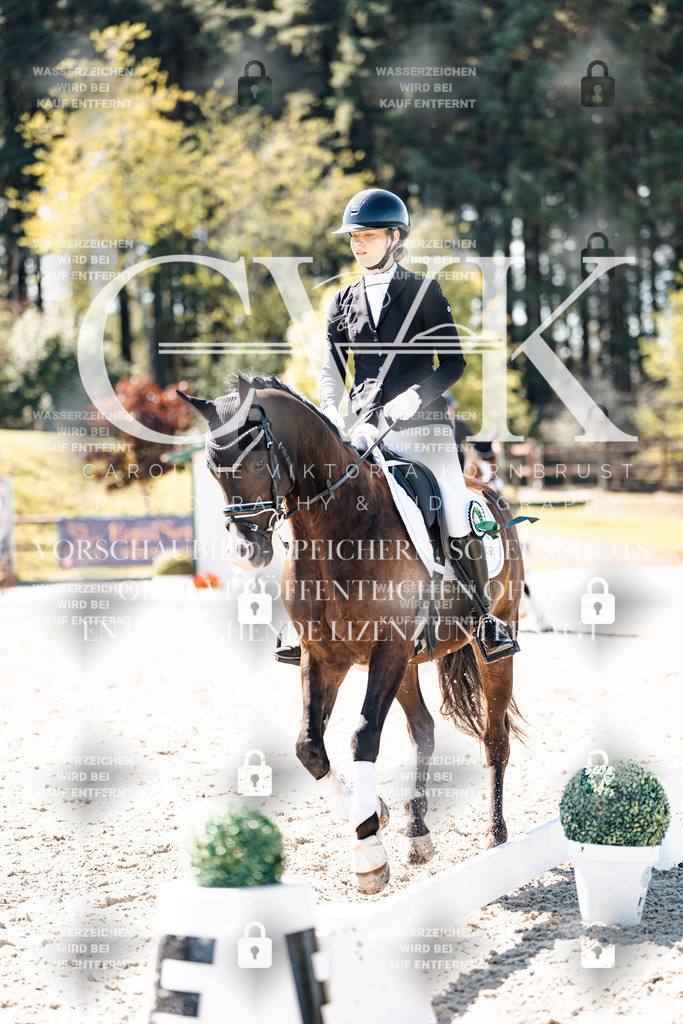CK909990 | Turnierfotografie Pferdefotografie Trier Rheinland-Pfalz Pferdesport Reitsport Tierfotografie Sportfotografie Pferdevideo Pferdevideografie Equestrianvideography equestrianphotography  - Realisiert mit Pictrs.com