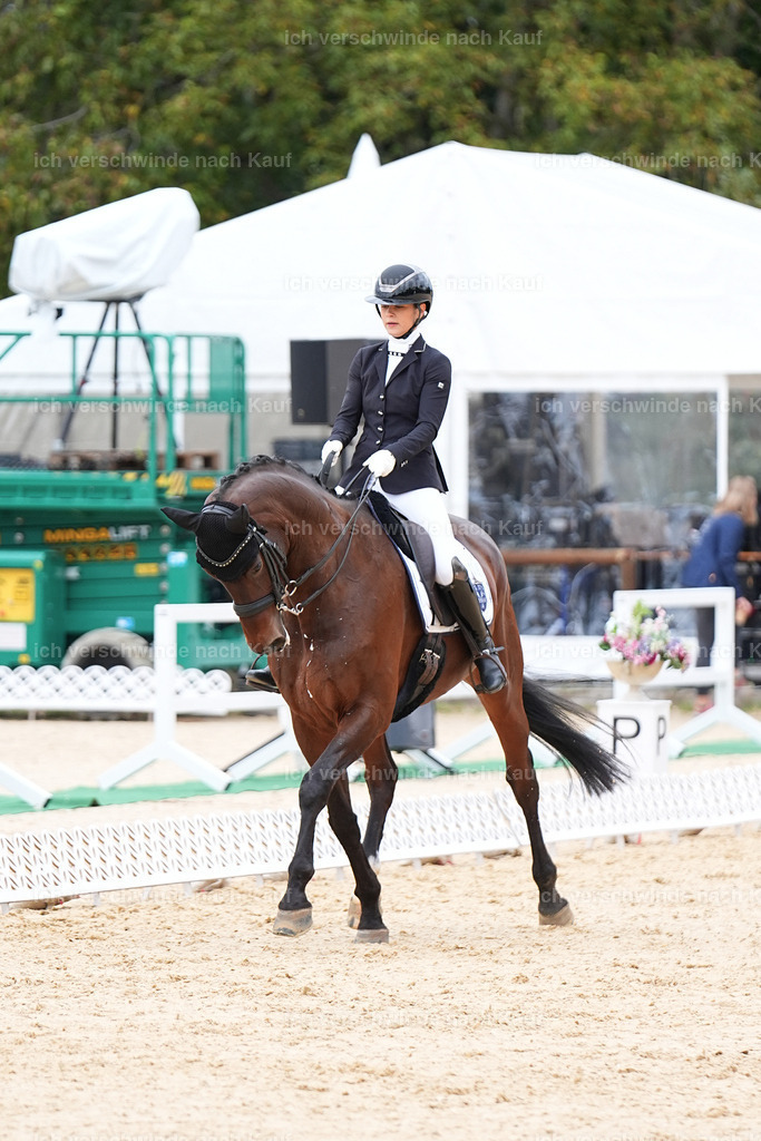 3-197-Dressur M_-Marixx-1947 | working equitationturnier fotograf videograf stoibphotography marixx film working equitation deutschland reitsport turnierfotografie eventfotografie equestrian events