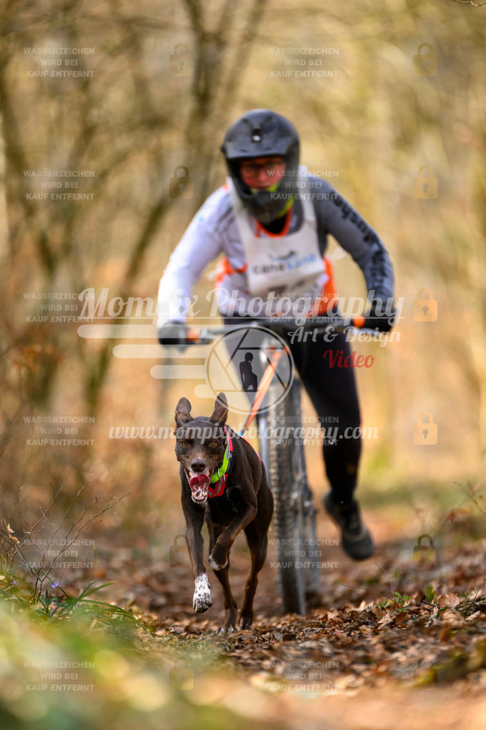 MompixPhotography_ReiatRennen2024_SO_DS1-36 | PayLife