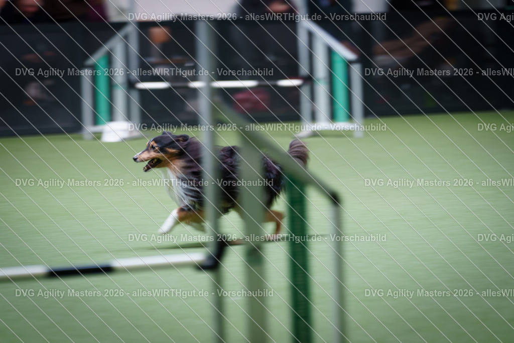 allesWIRTHgut_Tierfotografie-DVG_Agility_Masters_2026-14_57-7R505813 | Professionelle Tierfotografie in Mönchengladbach von Daniel Wirth (allesWIRTHgut). Liebevolle & natürliche Bilder von Hunden & Katzen für unvergessliche Erinnerungen.