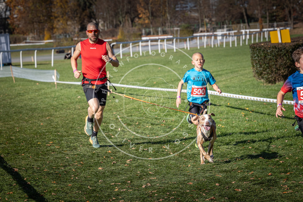 CaniXpix_0L8A6573 | Hundefotografie, Tierfotograf, Pfotenfotografie, Fotoshooting Hund, Hunde Portrait, Hundesport, Hundeportraits, Heideshooting, Hunde, Sportfotograf, Hundefotograf, Turnierhundsport, THS,  - Realisiert mit Pictrs.com