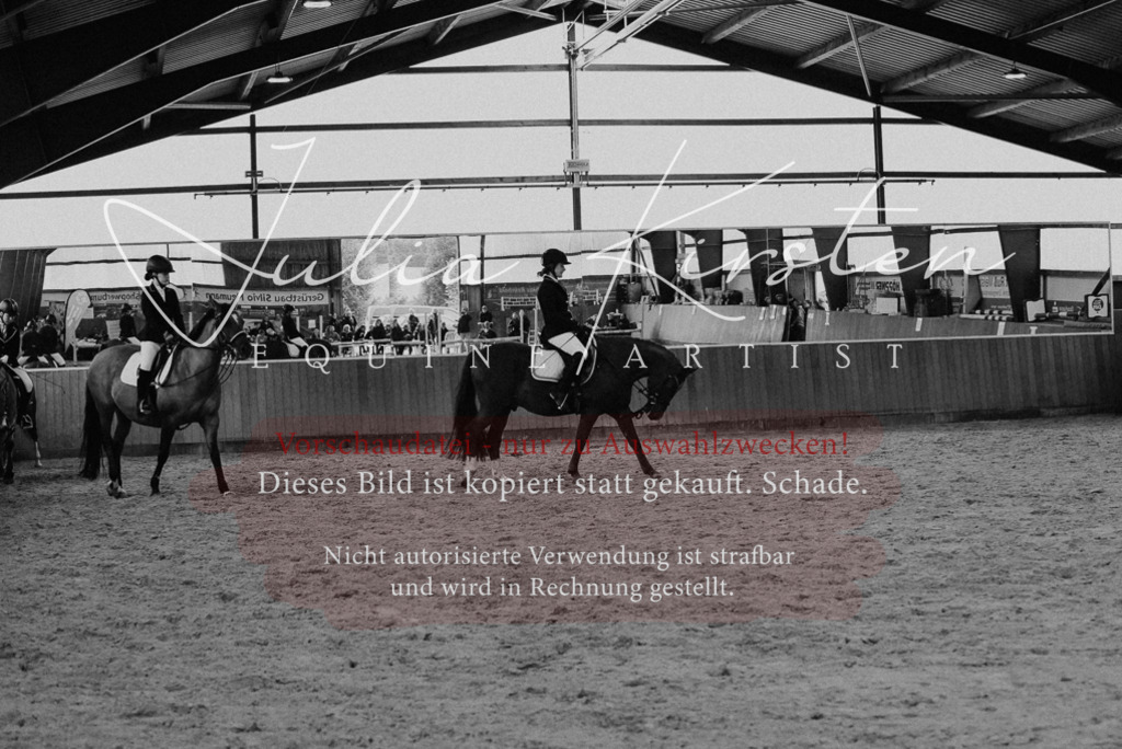 DSC_7315 | Pferde- und Turnierfotografie in Westsachsen. Pferdeportraits, Auftragszeichnungen und intuitive Kunst.