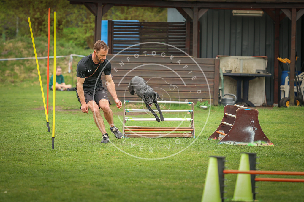 Pfotenfotografie_0L8A0340 | Hundefotografie, Tierfotograf, Pfotenfotografie, Fotoshooting Hund, Hunde Portrait, Hundesport, Hundeportraits, Heideshooting, Hunde, Sportfotograf, Hundefotograf, Turnierhundsport, THS,  - Realisiert mit Pictrs.com