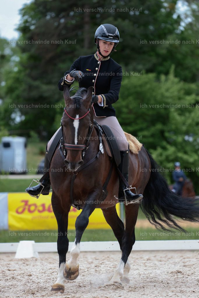 PI26_DR_261_StoibphotographyC2_L7815.jpg | working equitationturnier fotograf videograf stoibphotography marixx film working equitation deutschland reitsport turnierfotografie eventfotografie equestrian events