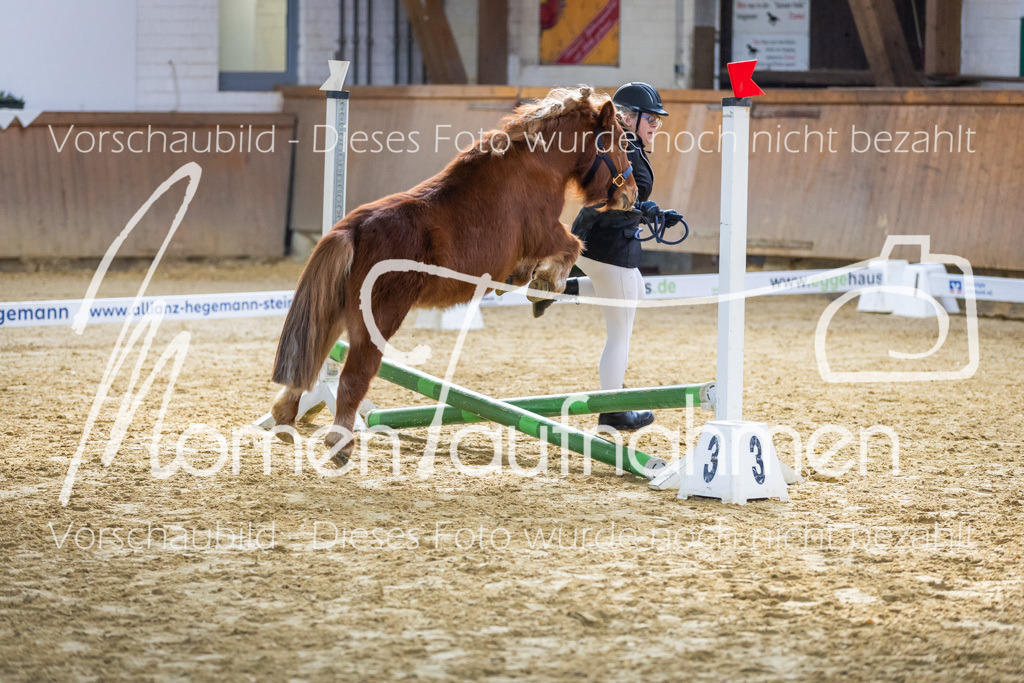 Sth-WBO25-Führ-WB-063 | MomenTaufnahmen Pferdesportfotos