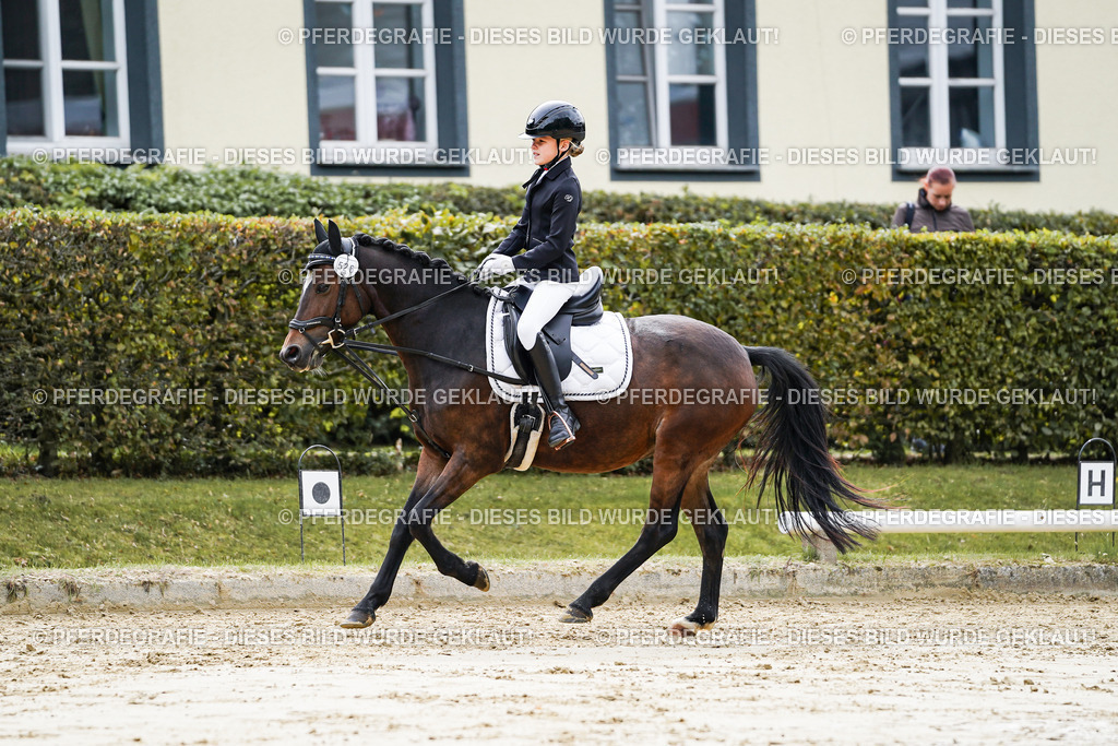 DSC05530 | Pferdegrafie