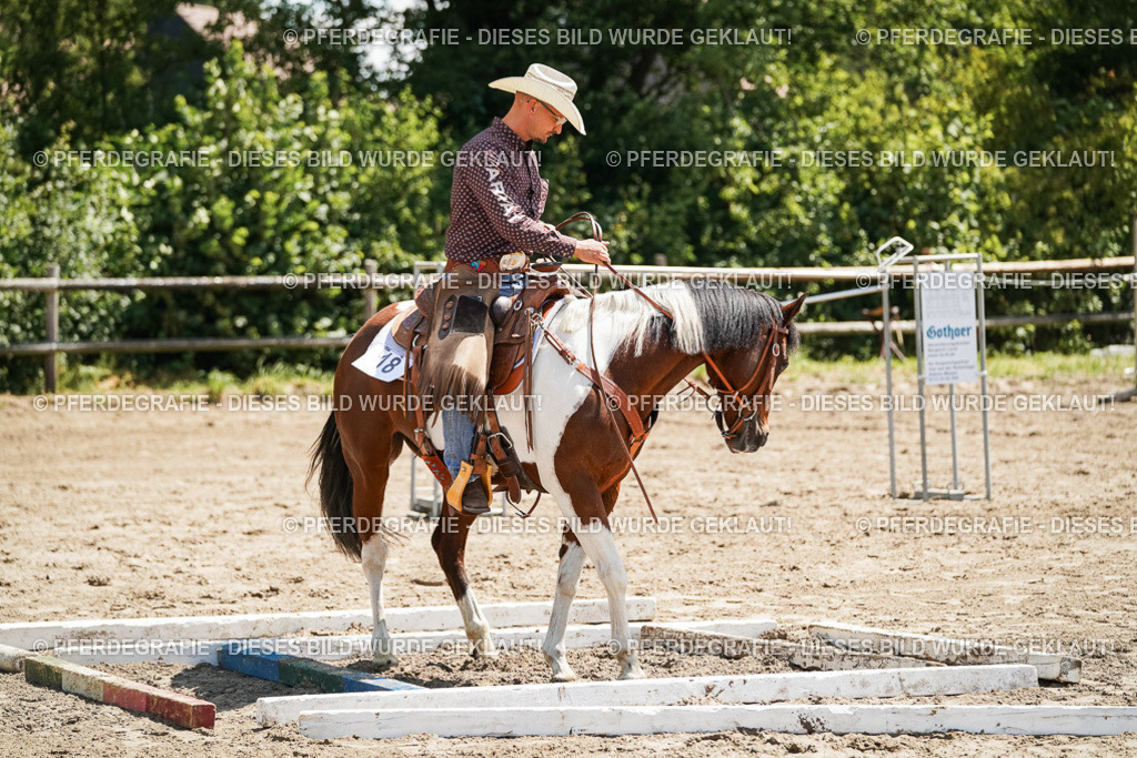 DSC07383 | Pferdegrafie