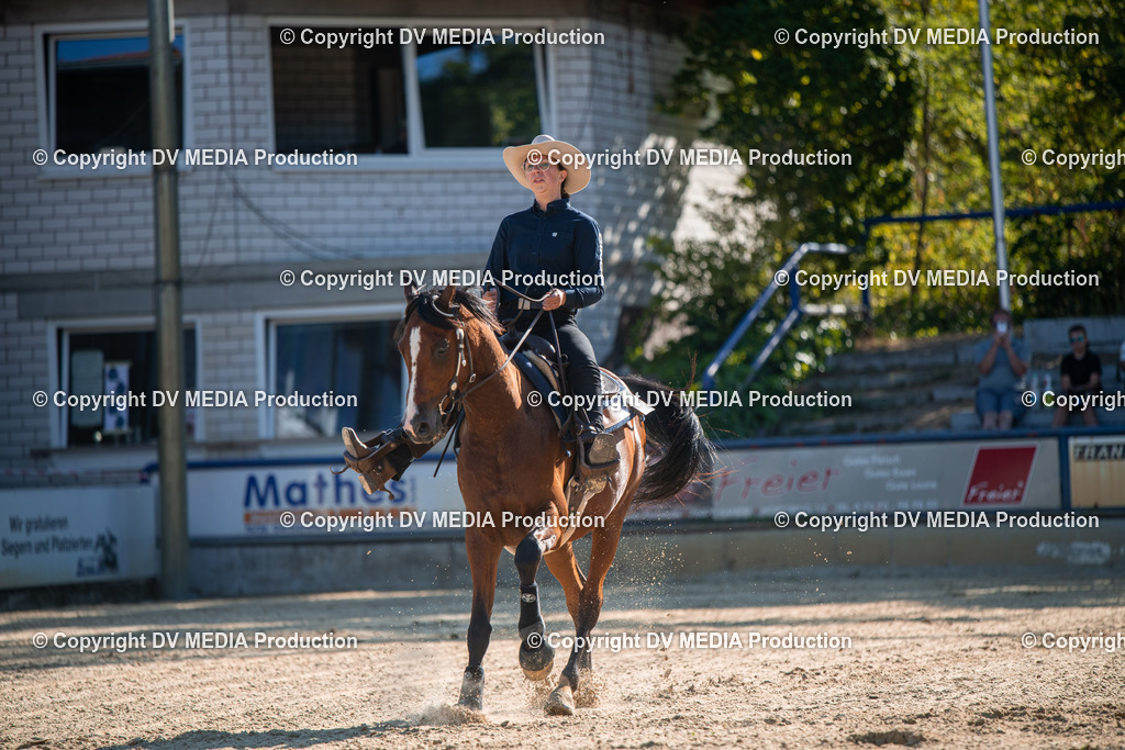 EWP_7034 | dv-media-shop - Realisiert mit Pictrs.com