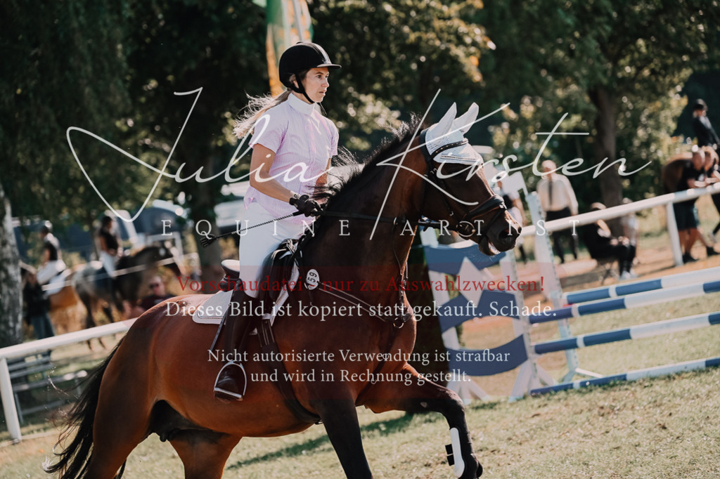 DSC_4793 | Pferde- und Turnierfotografie in Westsachsen. Pferdeportraits, Auftragszeichnungen und intuitive Kunst.