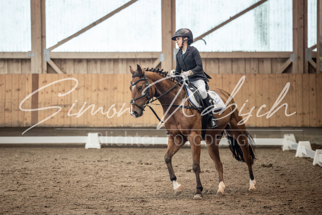 20251011-_3LI8341 | Tierfotografie Pferde, Hunde, Katzen, Haustiere.
Turnierfotografie Reitturniere, Reiten, Springreiten, Dressur in Hanau, dem Main-Kinzig-Kreis und dem Rhein-Main- Gebiet um Frankfurt