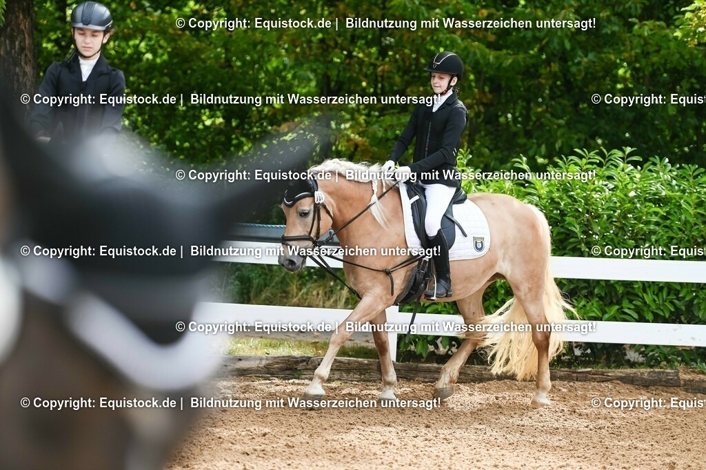 20230716_10-1_Reiter-WB Schritt - Trab - Galopp_0061 | equistock