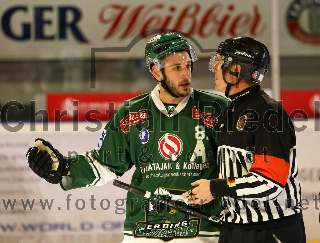2023-10-20_114_TSV_Erding_gegen_EHC_Klostersee | Erding, Deutschland, 20.10.2023:.Eishockey, Bayernliga Vorrunde 2023 / 2024, 2. Spieltag, TSV Erding gegen EHC Klostersee, Endergebnis: ..Maximilian Forster (Erding Gladiators, #81)..Foto: Christian Riedel / fotografie-riedel.net