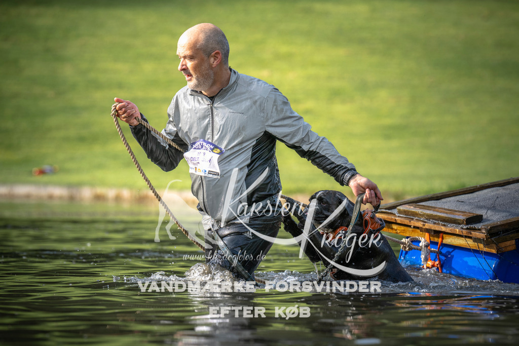 _ZZ936200706 | kk-dogfotos