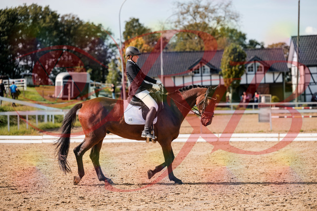 2026_10_03_Siefer-Hof_130437_Z63_67448944 | Professionelle Reitsport-, Turnier- und Eventfotografie von Robert Broda. Galerien mit ausgewählten und bearbeiteten Bildern direkt online ansehen und bestellen.