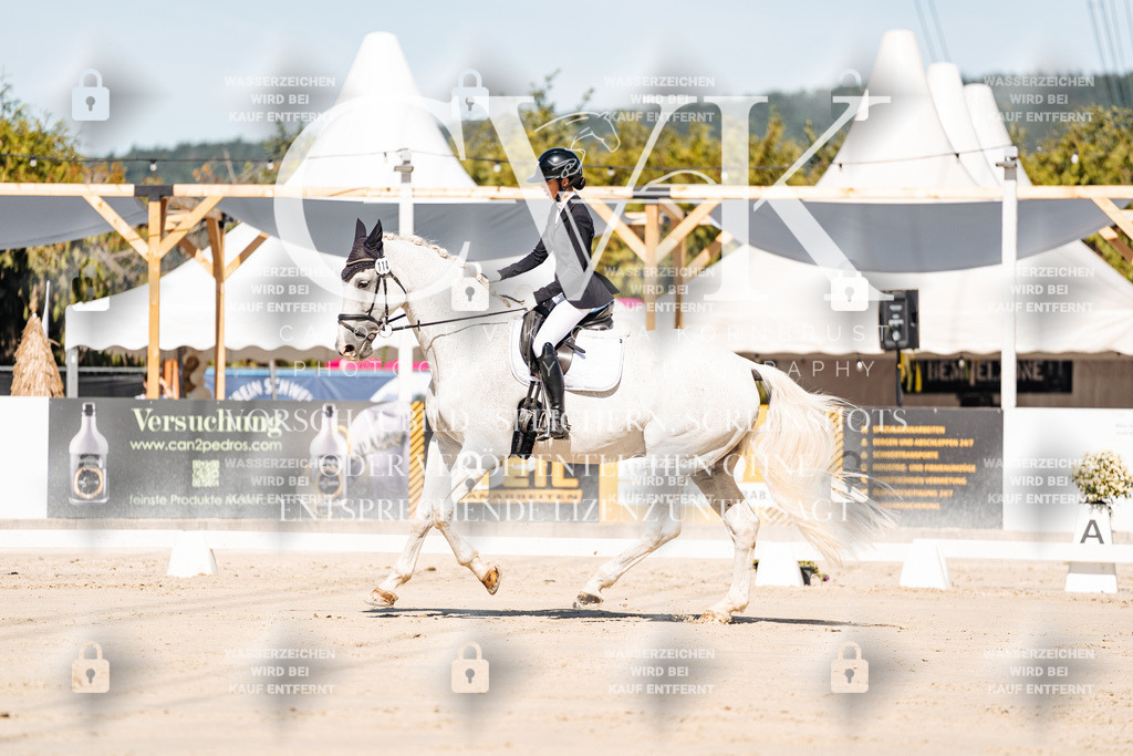 CK908931 | Turnierfotografie Pferdefotografie Trier Rheinland-Pfalz Pferdesport Reitsport Tierfotografie Sportfotografie Pferdevideo Pferdevideografie Equestrianvideography equestrianphotography  - Realisiert mit Pictrs.com