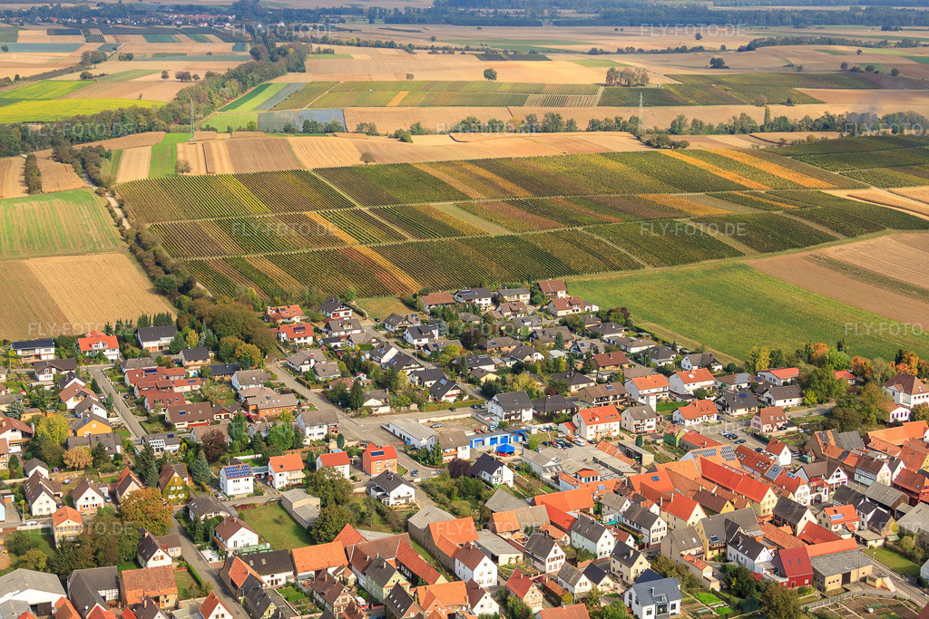 Luftbild: Am Weinberg in Freckenfeld im Bundesland Rheinland-Pfalz in Deutschland. Foto: IMG_22532.jpg vom 15.10.2009 durch Werner Riehm/FLY-FOTO.de