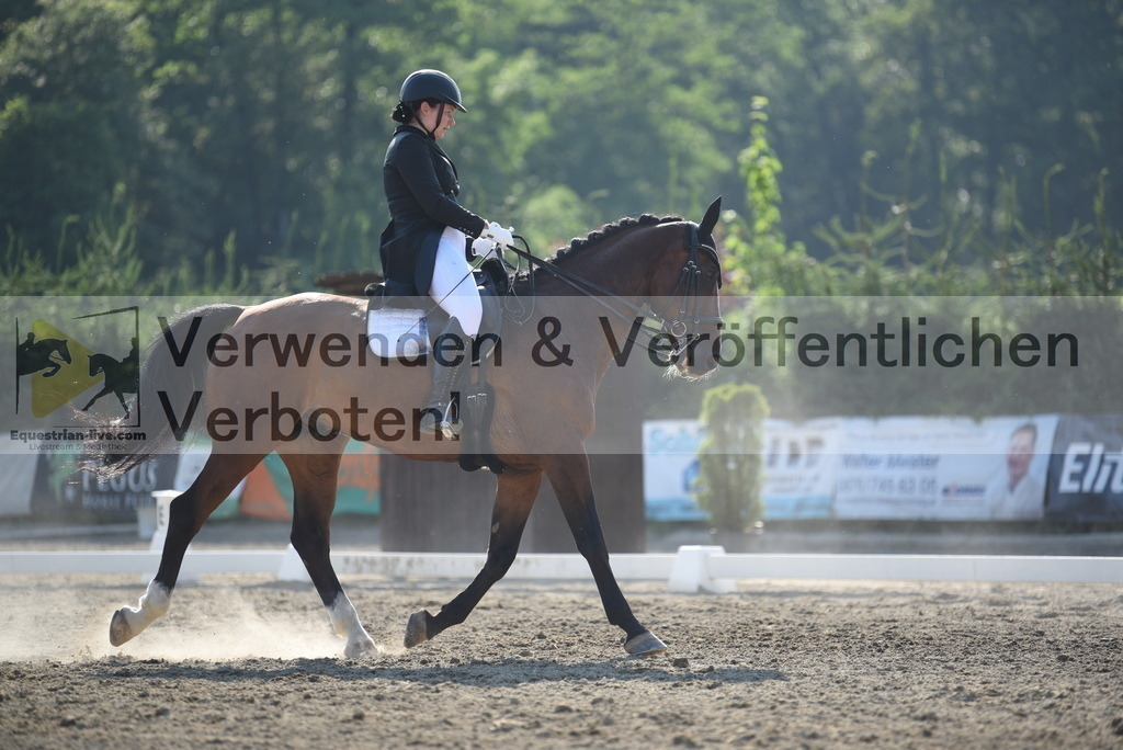 DSC_3085 | equestrian-live-com
