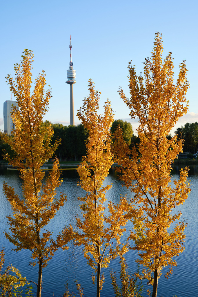 Blick auf den Donauturm im Herbst | Wien, Austria - October 04, 2022: Blick auf den Donauturm im Herbst - Realisiert mit Pictrs.com