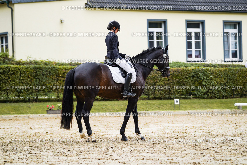 DSC07670 | Pferdegrafie