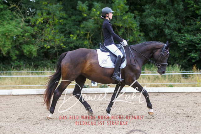 DKP46765 | Turniersportfotografie; Pferdefotografie; Dressurfotografie