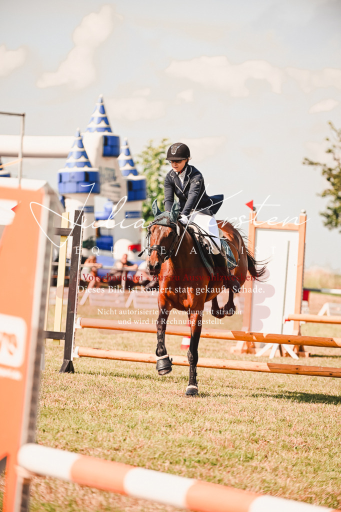 DSC_7368 | Pferde- und Turnierfotografie in Westsachsen. Pferdeportraits, Auftragszeichnungen und intuitive Kunst.